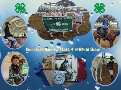 State 4-H Horse Show 2023