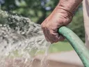 Watering with a garden hose