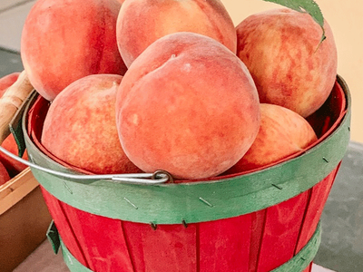 Basket of Peaches