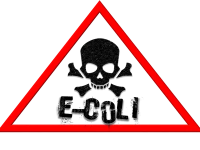 Red triangular warning sign with black skull and crossbones inside