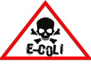 Red triangular warning sign with black skull and crossbones inside
