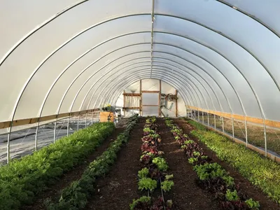 High Tunnel 