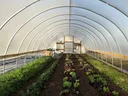 High Tunnel 