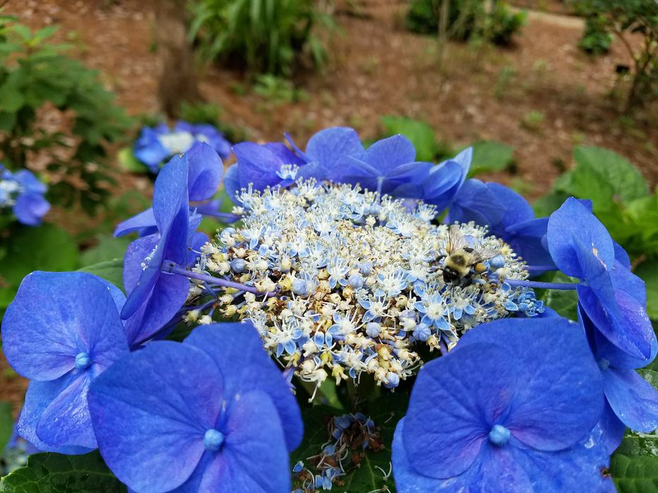 Lacecape_Mobile AL_Photo by Amanda Wilkins