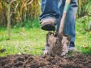 Leg and boot pressing a shovel blade into soil in a grassy yard
