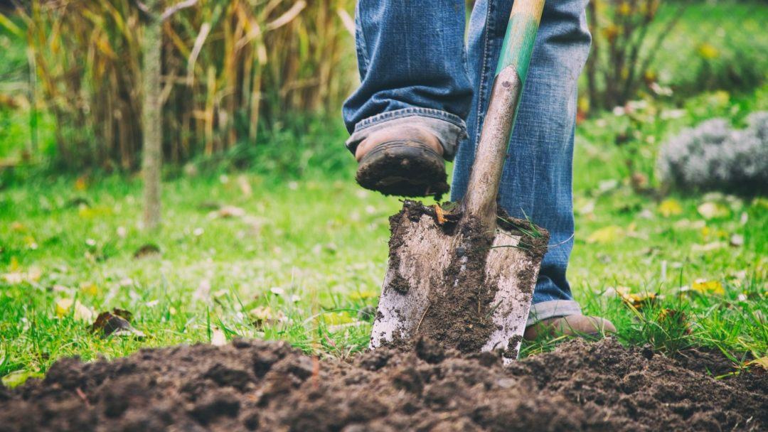 close up of someone pressing shovel into dirt with foot