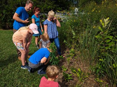 Before we started the count we walked around the pollinator garden to practice identifying different types of insects. Here the kids are looking at early instar monarch caterpillars that were on the resprouted common milkweed plants that I cut back in Jul