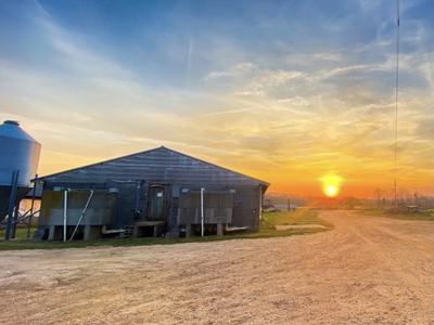 Barn and grain silo beside dirt road at sunrise