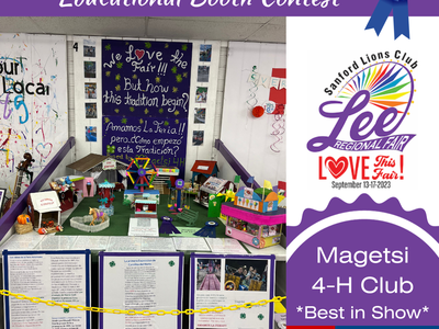 Magetsi Educational Booth