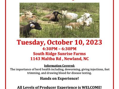 small ruminant health flyer