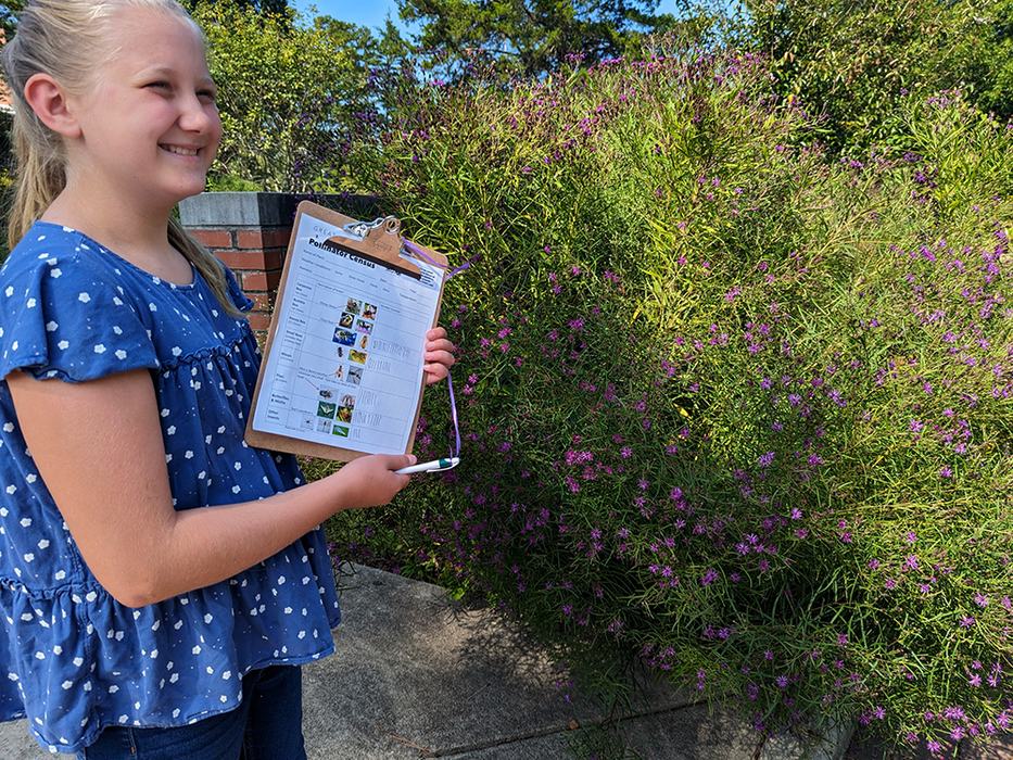 Elaine tallied lots of pollinators on the native ironweed!