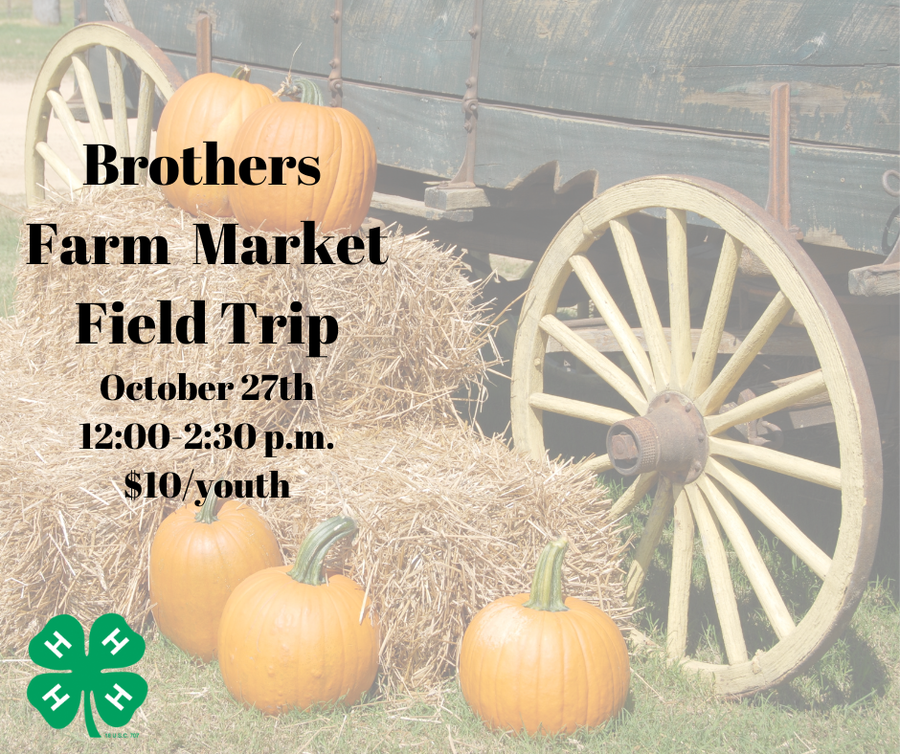 Brothers Farm Market Field Trip October 27 12 to 2:30 p.m. $10/youth