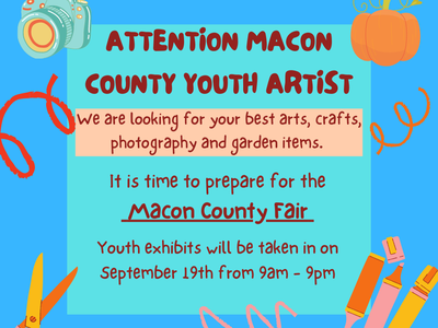 Youth Entries at the Fair