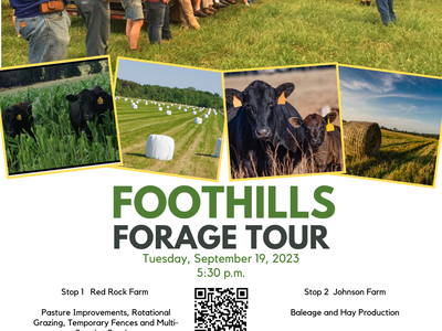 flyer for forage tour