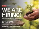 Hands passing a small seedling; overlaid text "WE ARE HIRING! Apply here: go.ncsu.edu/ExtensionJobs"