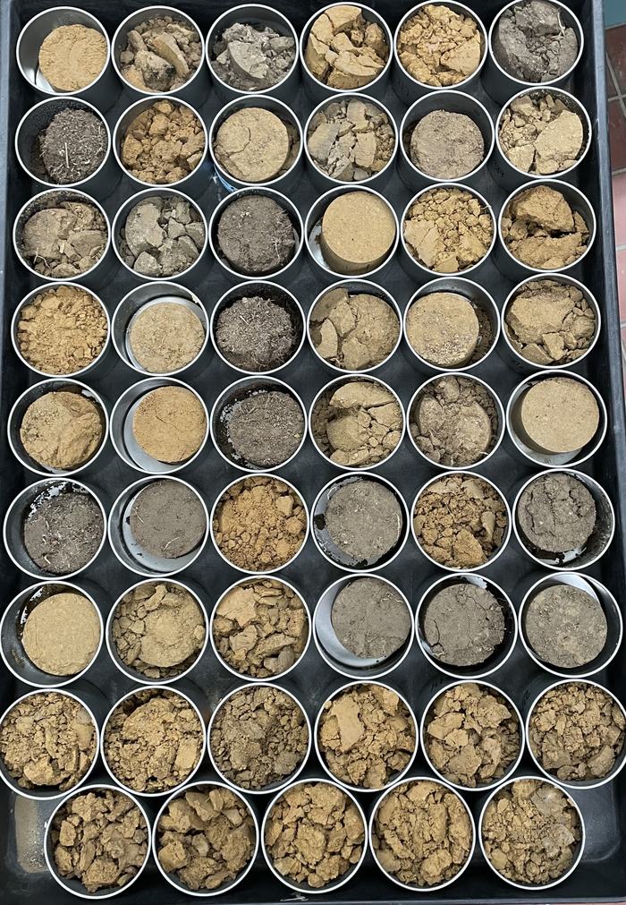 Collected soil samples