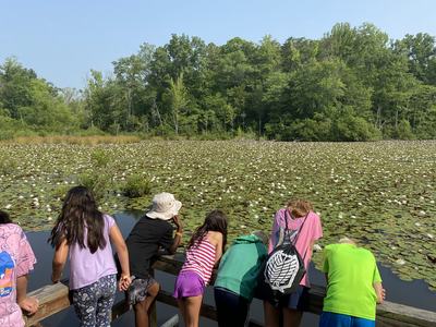 Children leaning on a boardwalk railing looking at a lily-covered pond and treeline