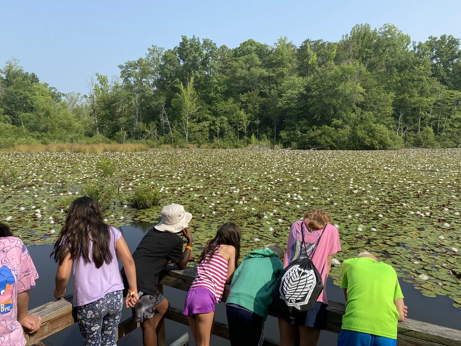 Campers looking over a railing at a pond