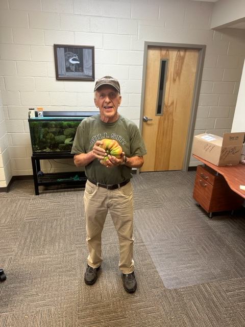 Winner Raymond Norton holding his big tomato