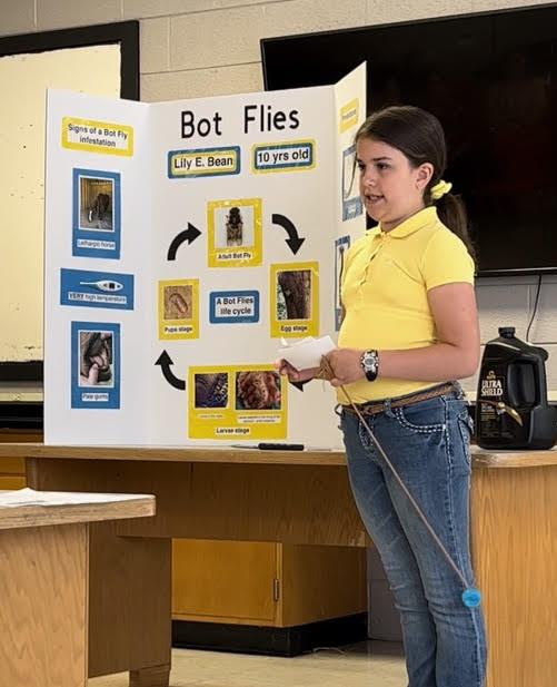 Lily Bean stands in front of Bot Flies poster