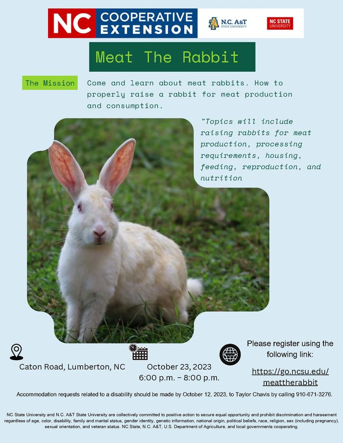 Meat the Rabbit workshop