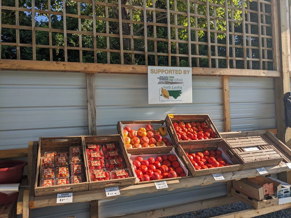 Tomatoes at a roadside stand.