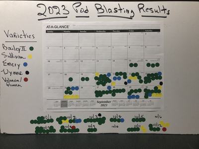 paper chart taped to white board