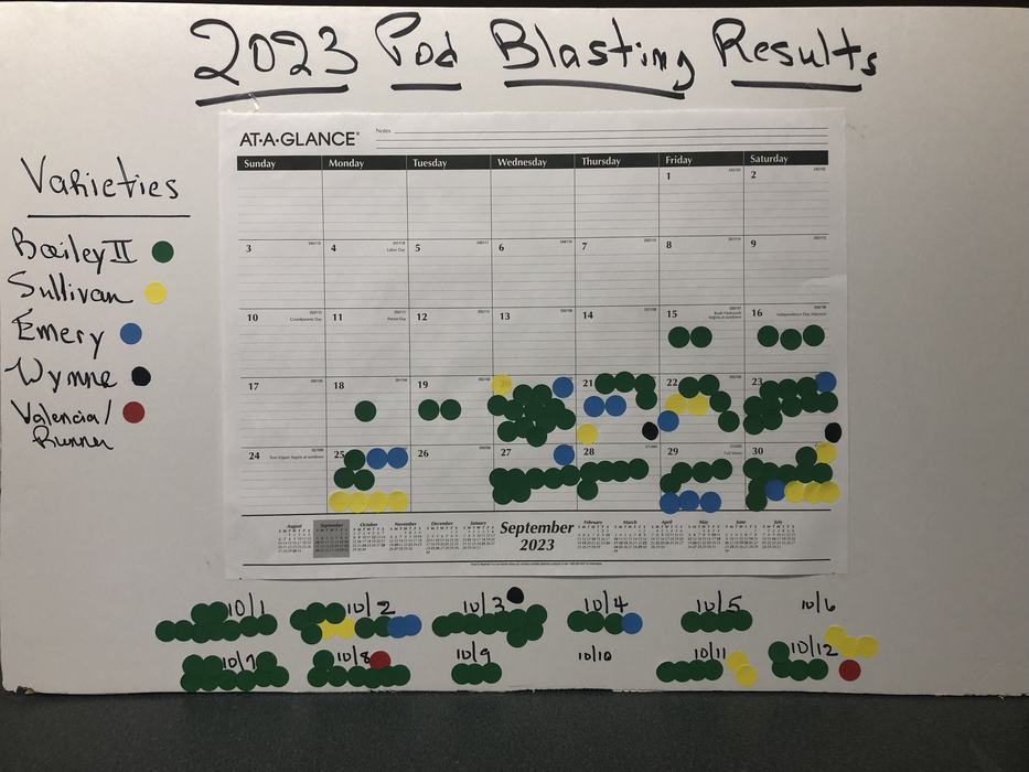 paper chart taped to white board