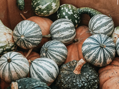 pumpkins and gourds