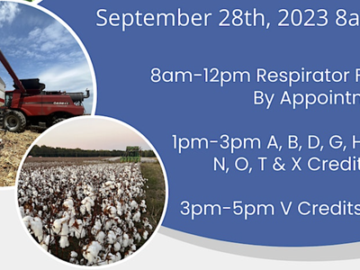 Combine unloading grain and cotton field; September 28th, 2023 8am–5pm