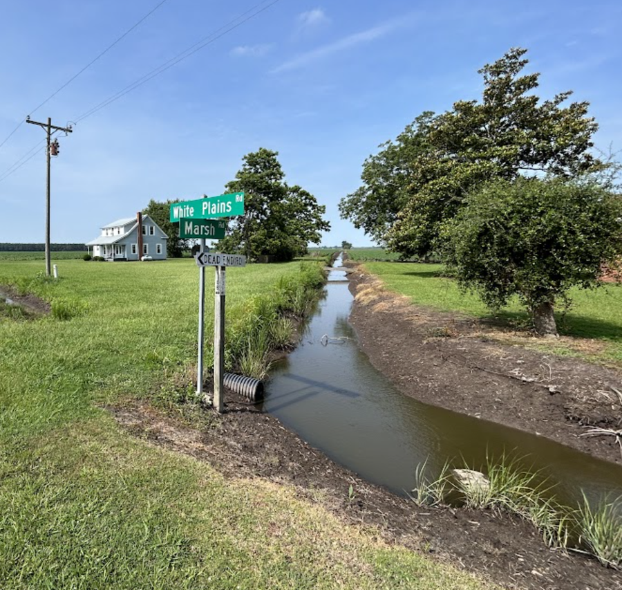 Rural crossroads with "White Plains Rd" and "Marsh Rd" signs by a drainage canal