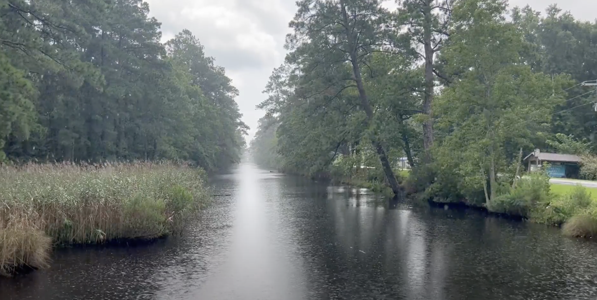 Narrow river flanked by reeds and trees, light rain falling under an overcast sky