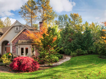 Large suburban house with autumn trees, landscaped lawn and curved stone walkway