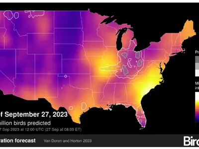 BirdCast Migration Forecast September 27, 2023