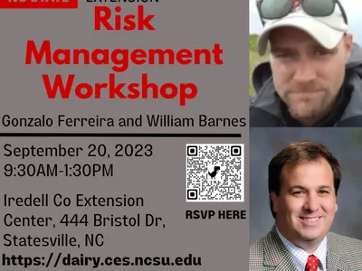 Risk Management Workshop