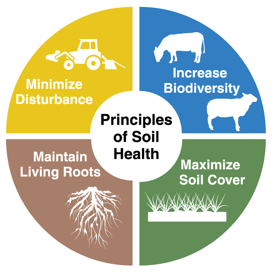 Principles of Soil Health include: Minimize Disturbance, Increase Biodiversity, Maintain Living Roots, Maximize Soil Cover