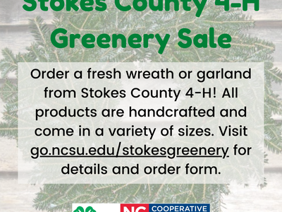 Stokes County 4-H Greenery Sale poster: order wreaths/garlands, go.ncsu.edu/stokesgreenery