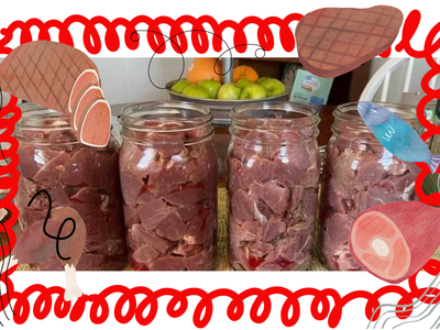 Four glass jars filled with cubed raw meat on a kitchen counter.