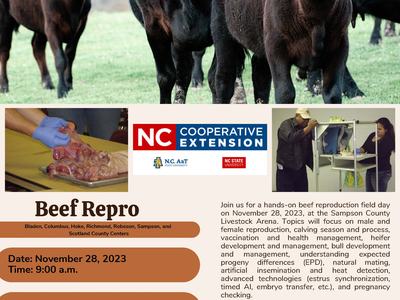 Cattle photo above flyer titled "Beef Repro" — Nov 28, 2023; Sampson County Livestock Arena