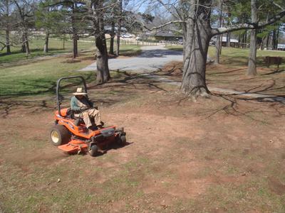 mower tree