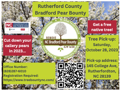 Rutherford Count Bradford Pear Bounty