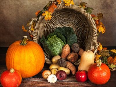 Wicker cornucopia tipped over with pumpkins, squash, cabbage, potatoes, onions, garlic