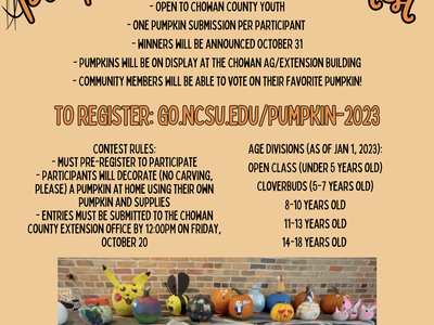 pumpkin contest flyer