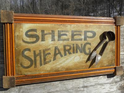 Sheep Shearing sign.