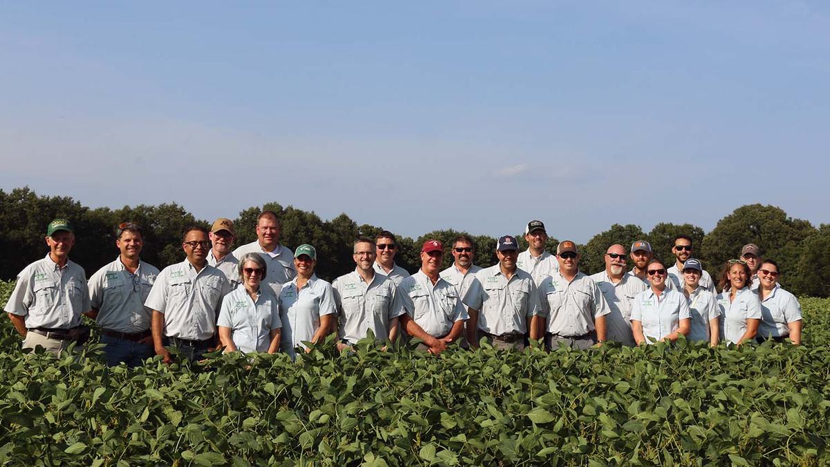 National Extension soybean specialists visit NC State research Union County