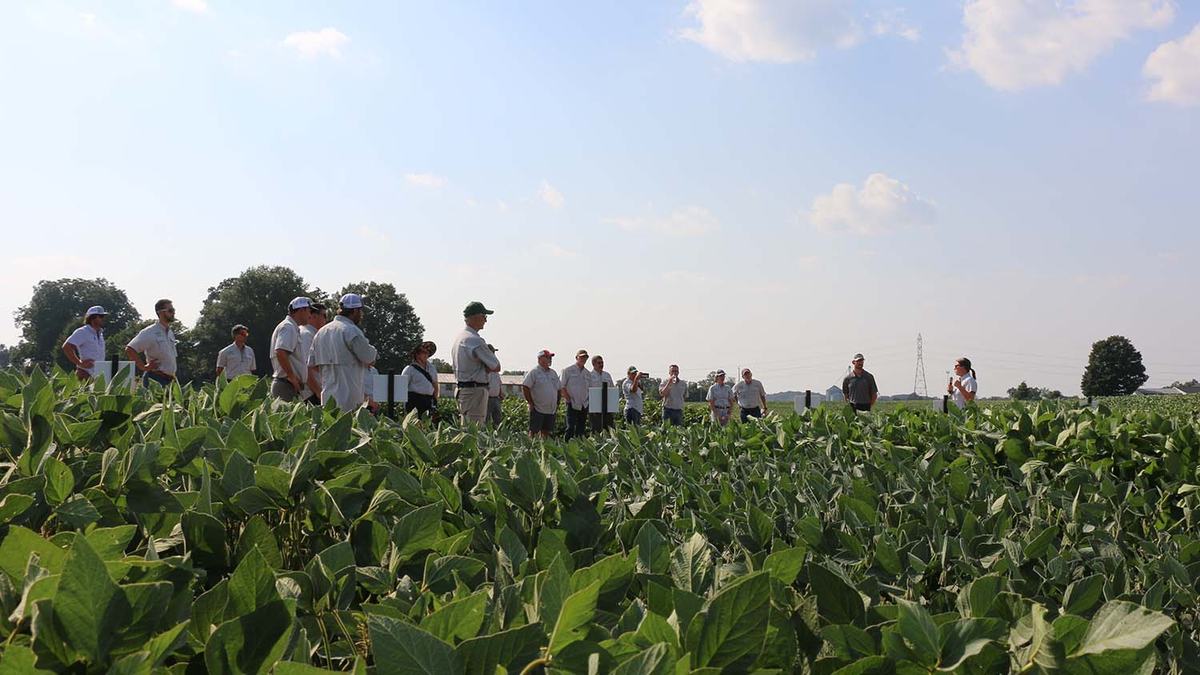 National Extension soybean specialists visit NC State research Union County