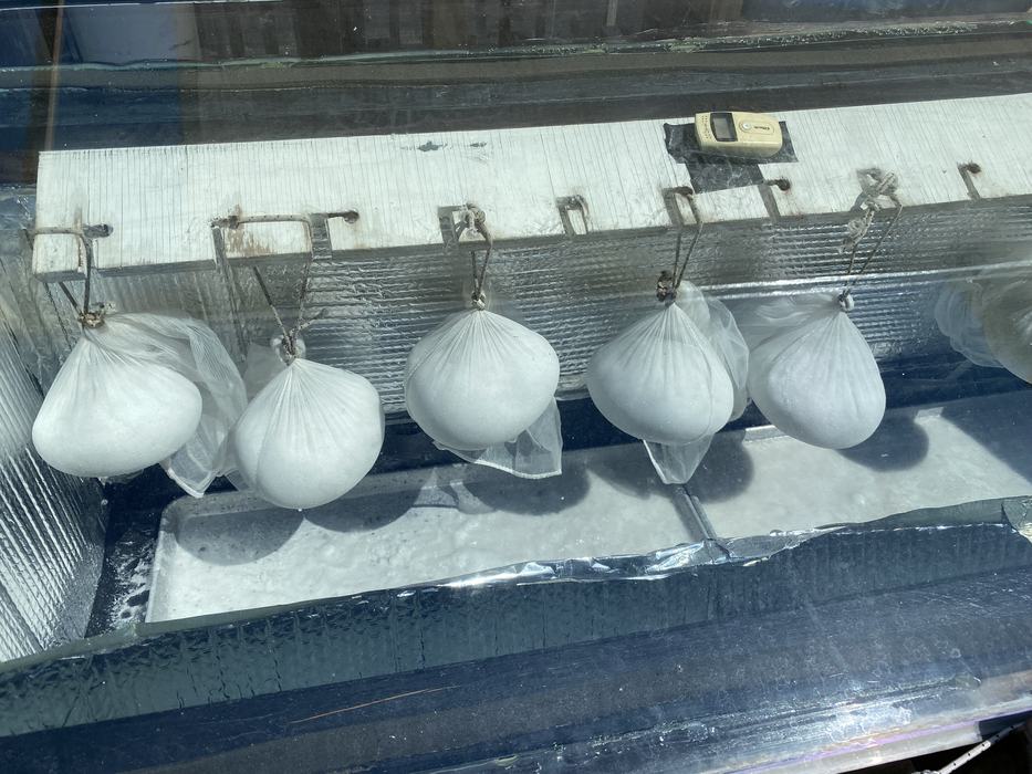 hanging bundles of salt inside solar oven