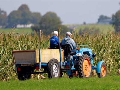Two people riding a blue tractor with wooden trailer along a cornfield, "25 km" sticker