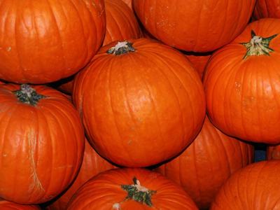 Stacked orange pumpkins with visible green stems