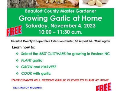 2023 GROWING GARLIC AT HOME